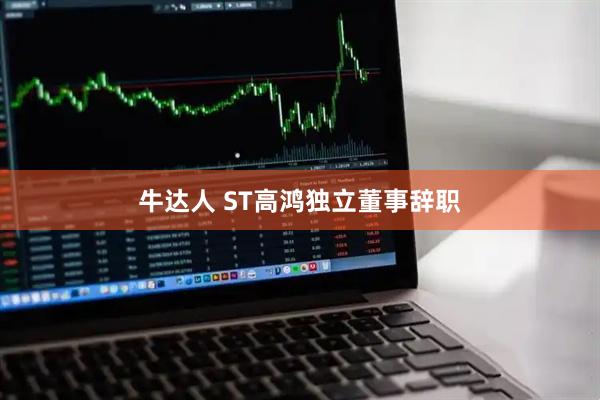 牛达人 ST高鸿独立董事辞职