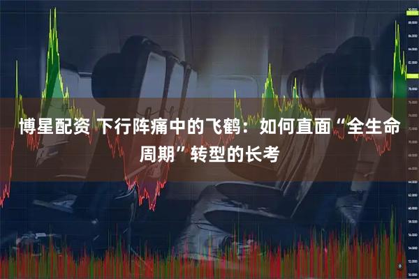 博星配资 下行阵痛中的飞鹤:如何直面“全生命周期”转型的长考