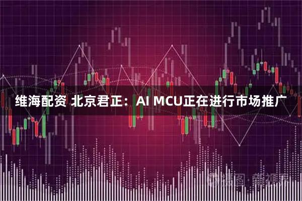 维海配资 北京君正：AI MCU正在进行市场推广